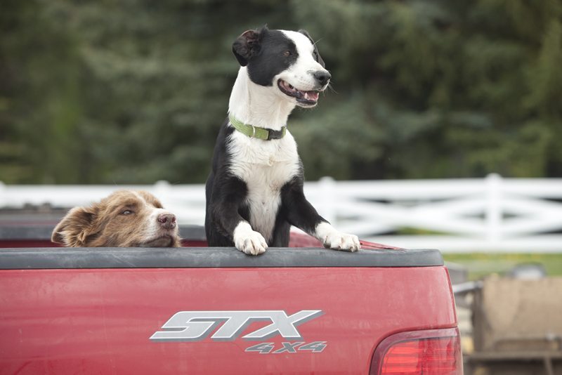 Sidebar A Bar A Ranch