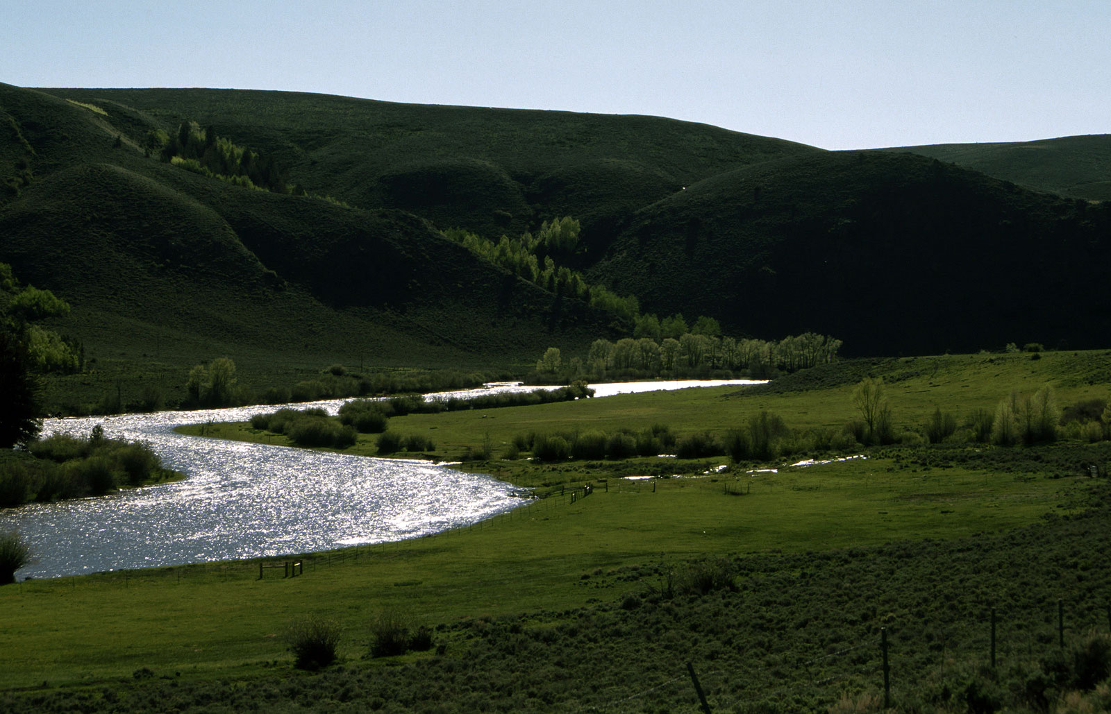 A Bar A Ranch photo 9