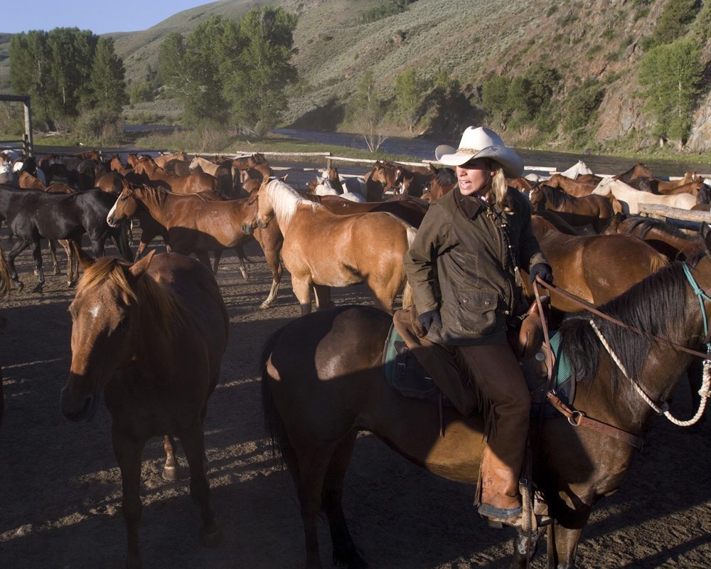 Staff - A Bar A Ranch